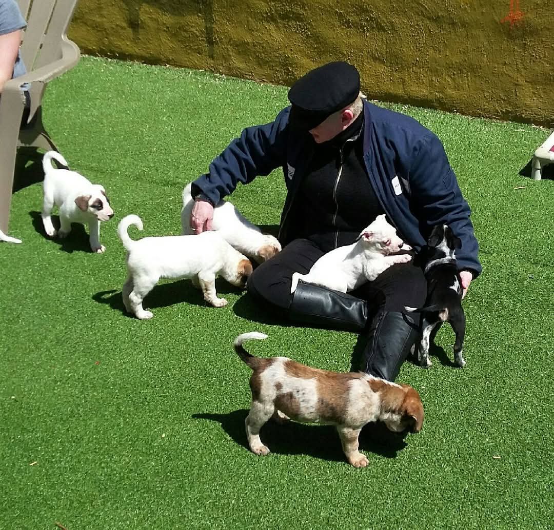 FB IMG 1762998715489